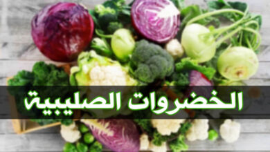 ما هي الخضروات الصليبية؟ دليلك الشامل، الفوائد والأضرار مع تقديم الوصفات haronefit