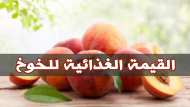 تعرف على القيمة الغذائية للخوخ، الفوائد الأنواع والسعرات الحرارية