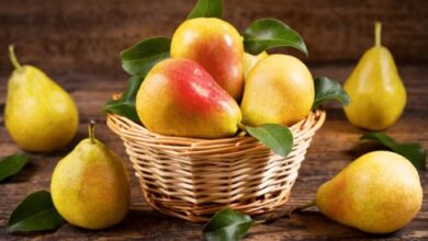 القيمة الغذائية للكمثرى، السعرات الحرارية، الفوائد الصحية، الأضرار الجانبية