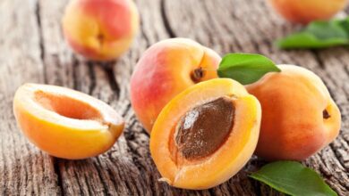 القيمة الغذائية للمشمش، السعرات الحرارية، الفوائد الصحية