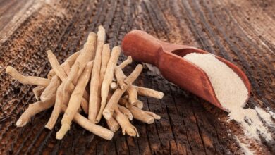 كل ما يجب أن تعرفه عن الأشواغاندا، حقائق مذهلة!