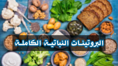 قائمة شاملة لمصادر البروتين النباتي الكاملة