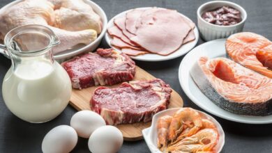 تعرف على مصادر البروتين الحيواني وأهميتها في التغذية