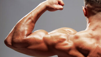عملية البناء العضلي، كيف تتم في جسمك؟