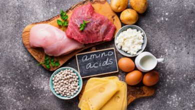 الأحماض الأمينية الأساسية EAAs تعريفها، أهميتها، مصادرها، وفوائدها